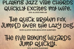 Allspice: a fun mixed-case font!