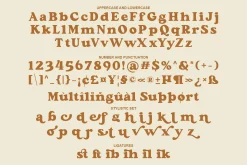 Aloha Chunky - Retro Font