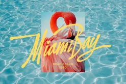 Aloniah - Handwritten Font
