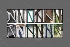 Alphabet Photography Letter N