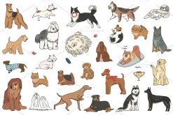Alphabet Dogs