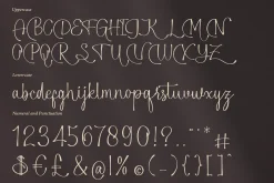 Alphiness | Handwritten Script Font