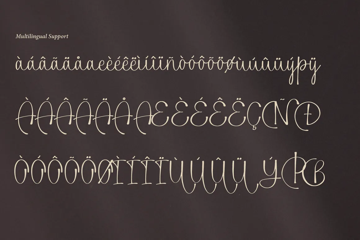 Alphiness | Handwritten Script Font