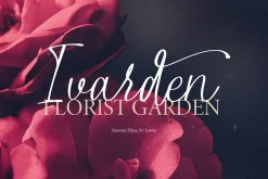 Alphiness | Handwritten Script Font
