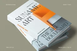 Amadi - Quirky Serif Font