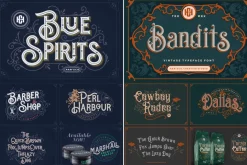 Amazed Vintage Font Bundle - SALE!