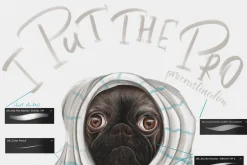 Amazing Markers for Procreate