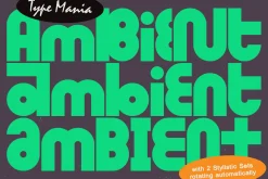 Ambient TM – Experimental Geometry