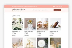 Ambition Spark WordPress Theme