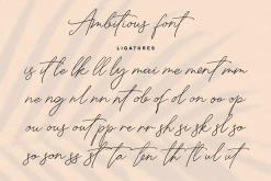 Ambitious hand written font