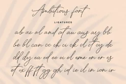 Ambitious hand written font