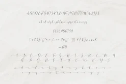 Amellina - A lovely Calligraphy Font