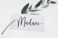 American | Script Font