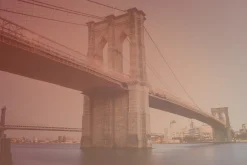 American Gradients