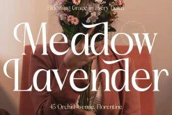 Amethast Stones Modern Serif