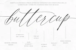 Amoretto | Modern Calligraphy Script