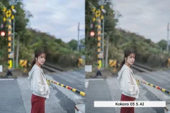 20 Analog Japan Lightroom Presets
