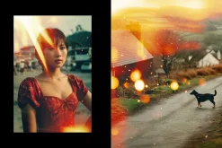 Analog Light Leaks Overlays
