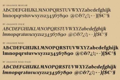 Analogue - Humanist Retro Serif