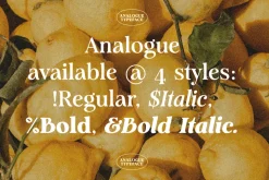 Analogue - Humanist Retro Serif