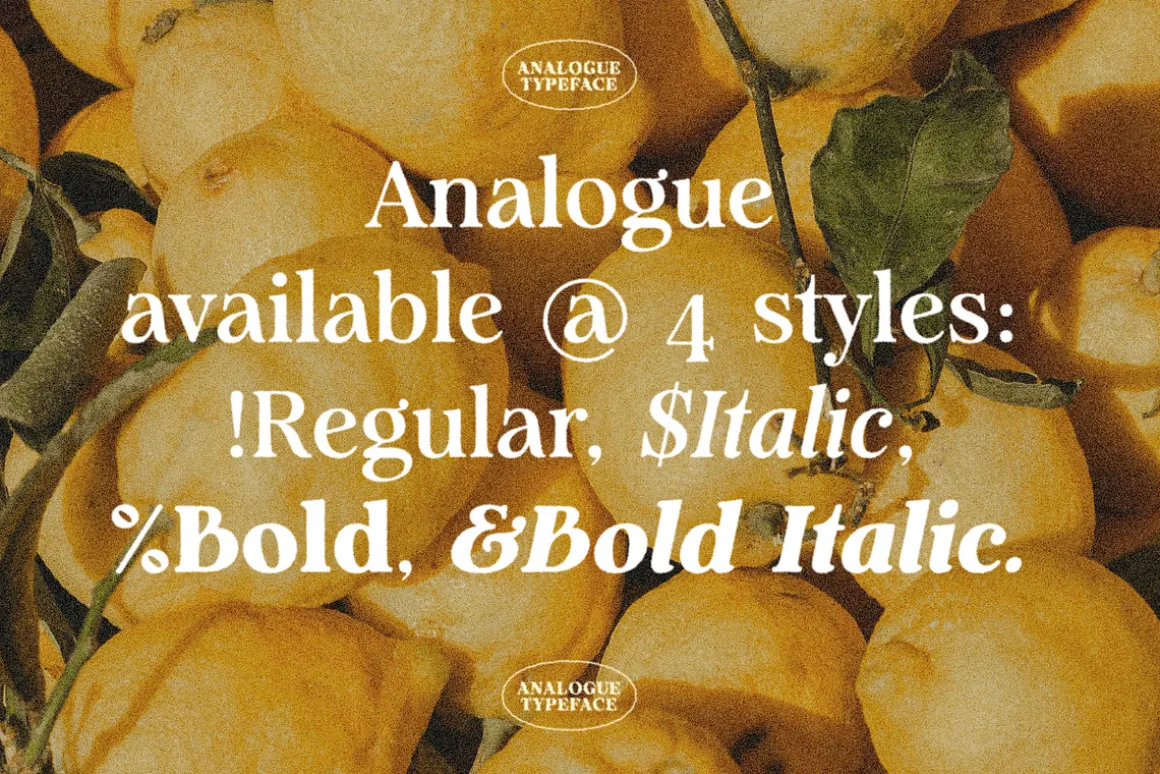 Analogue - Humanist Retro Serif