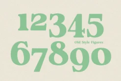 Analogue - Humanist Retro Serif