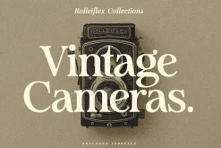 Analogue - Humanist Retro Serif