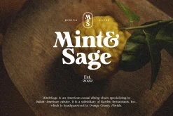 Analogue - Humanist Retro Serif