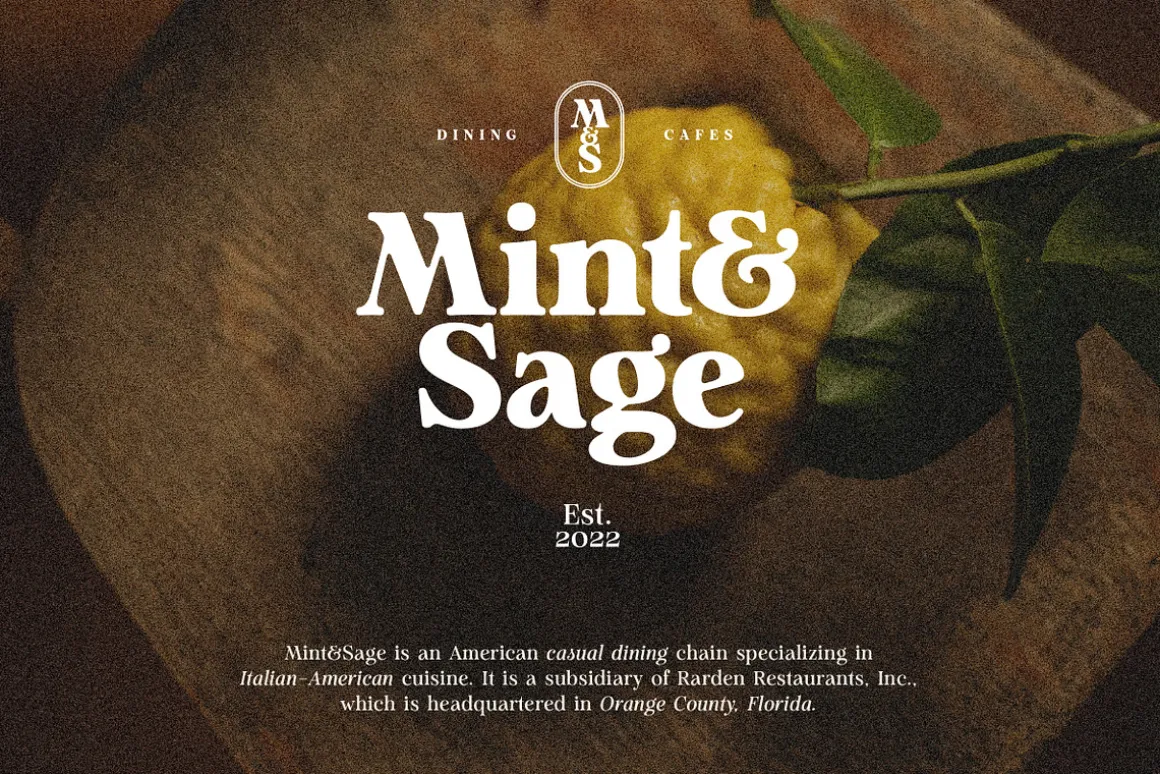 Analogue - Humanist Retro Serif