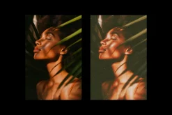 Analogue Retro Film Photo Effect