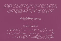 Anastasia Boutiques Beauty Script