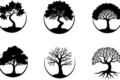 Ancient Tree Spirit Vector Set