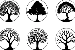 Ancient Tree Spirit Vector Set