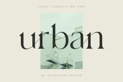angle - unique & chic font