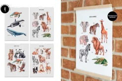 Animal World Map, Animals alphabet