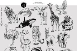 Animal World Map, Animals alphabet