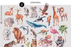 Animal World Map, Animals alphabet