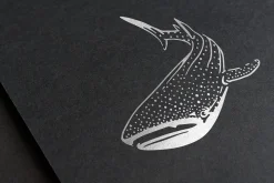 Animal Illustrations Bundle 2