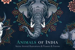 Animal Illustrations Bundle 2