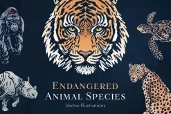 Animal Illustrations Bundle 2