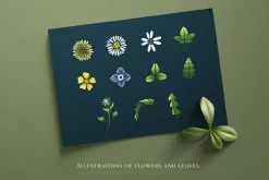 Animal Illustrations Bundle 2