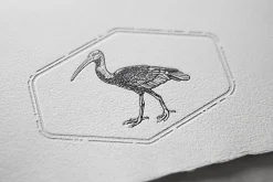 Animal Illustrations Bundle 2