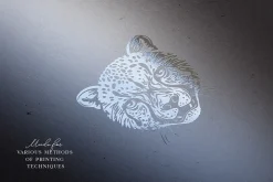 Animal Illustrations Bundle 2