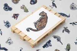 Animal Illustrations Bundle 2