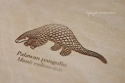 Animal Illustrations Bundle 2