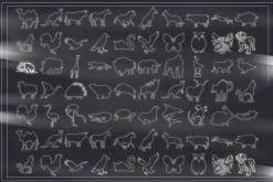 100 ANIMAL Silhouettes Vector Shapes