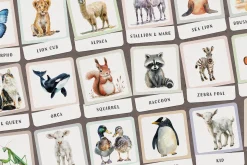 Animals Montessori Cards Bundle