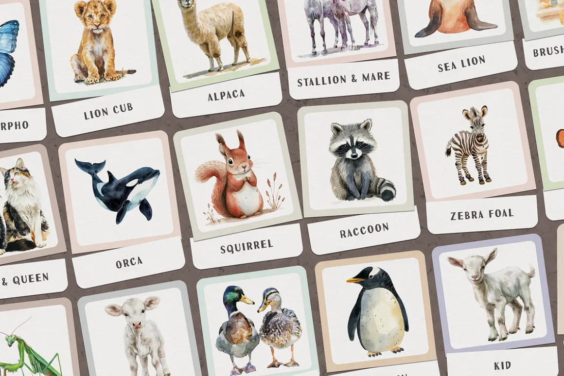 Animals Montessori Cards Bundle