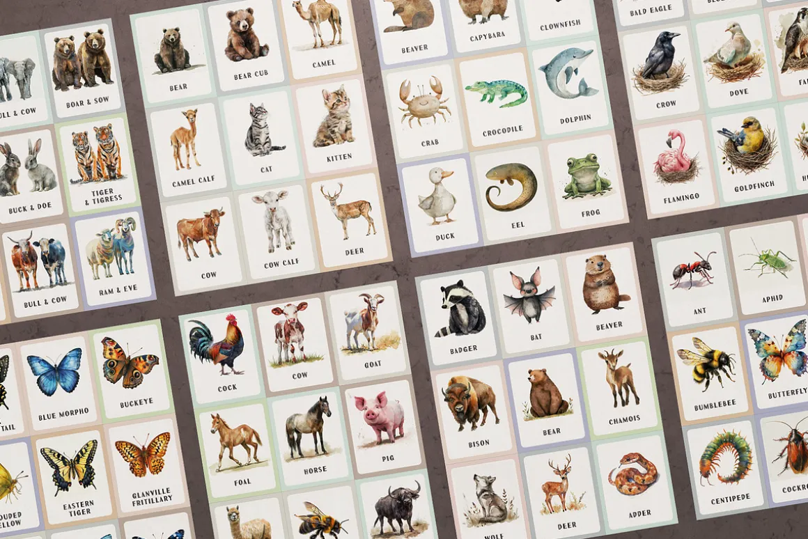 Animals Montessori Cards Bundle