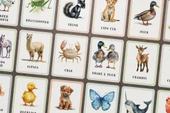 Animals Montessori Cards Bundle